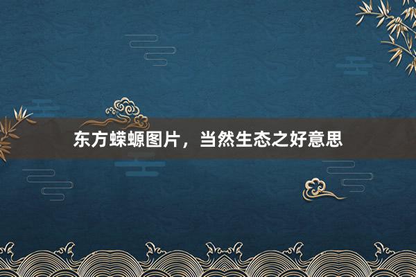 东方蝾螈图片，当然生态之好意思